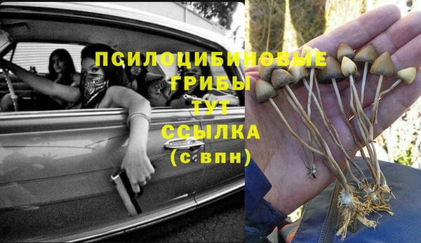 МДПВ Алексеевка