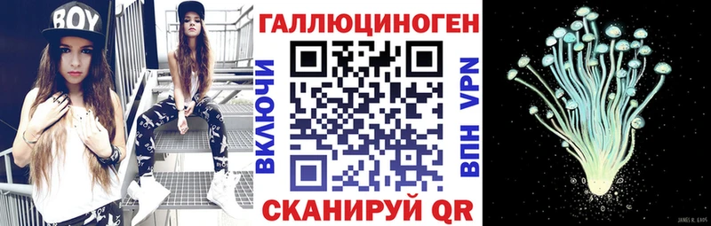 купить наркотики сайты  Сельцо  Псилоцибиновые грибы Psilocybe 